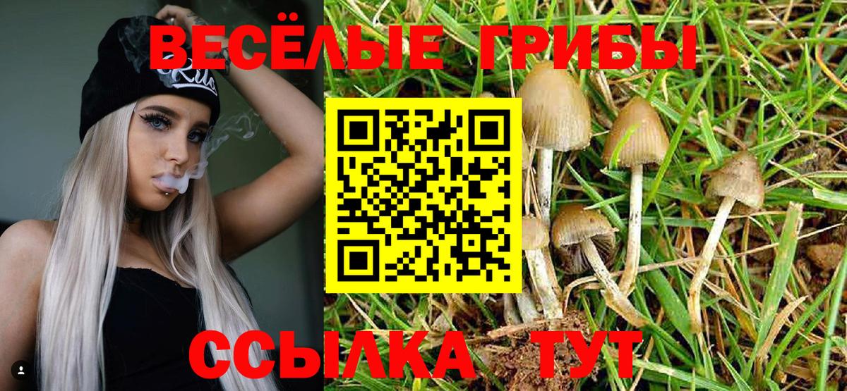 Галлюциногенные грибы ЛСД  Вход с VPN  Хасавюрт 